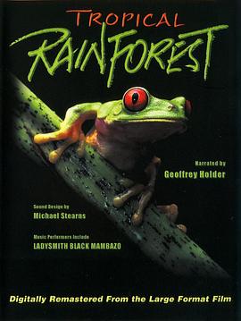 热带雨林风暴行动电影完整版免费观看